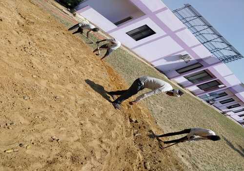 Terrace Garden Services Provider in Noida